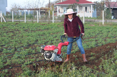Şehirden köye dönen kadın girişimci tarıma yönelerek üretici oldu - Resim : 1