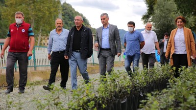 Çanakkale'den fidan ihracatı
