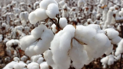 İzmir'deki pamuk deposu tam doluluğa ulaştı