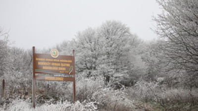 Kırklareli'nin ilk karı yağdı