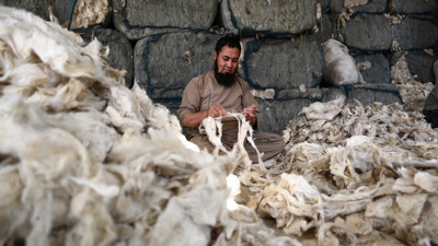 Dünya pazarına sunulan Afgan halısının üretim merkezleri arasında Türkiye de var