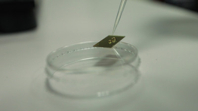 Türk bilim insanları buldu: Ailevi Akdeniz Ateşi yarım saatte teşhis edilecek