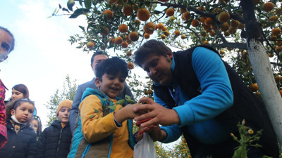 Başkan ve öğrenciler mandalina hasadı yaptı