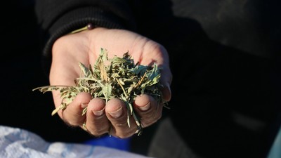 Hibe desteğiyle başladı, şimdi hedefi yurt dışı