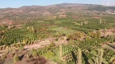 Türkiye, liderliği elinden bırakmıyor