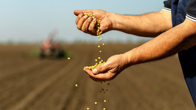 Ege, tarım ihracatında birinci sıraya oturdu