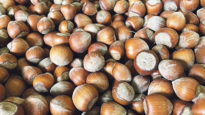 Fındık ihracatının yüzde 34'ü Trabzon'dan yapıldı