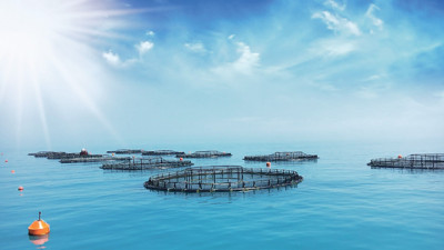 Su ürünlerinde ihracat hedefi 2 milyar dolar