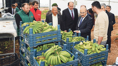 Muhammet Ali Tekin: Muzda kalite ve verim yüksek, pazarlamaya önem verilmeli