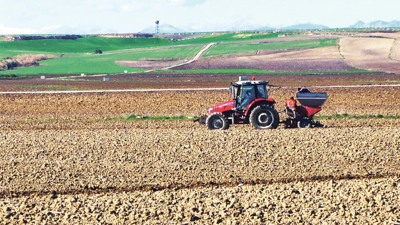 Patates tohumları toprakla buluşuyor