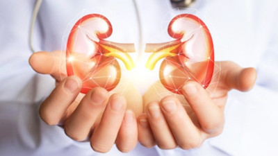 Türkiye'de böbrek naklinin bu yıl artması bekleniyor