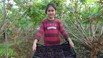 Sadece su istiyor, kilosu 110 lira!