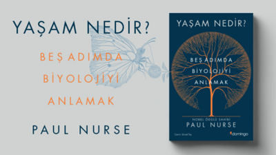 Yaşam Nedir? Beş Adımda Biyolojiyi Anlamak
