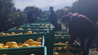 MİGROS deprem bölgesindeki  yerel çiftçilere destek eli uzatıyor