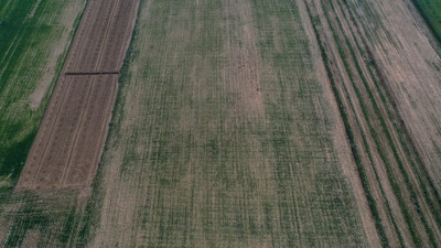 Yağmur yok; çiftçiler endişeli