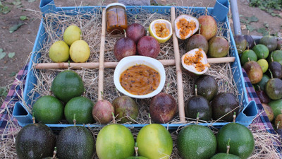 İzmir'de üretti, rotayı Avrupa'ya çevirdi: Reçel, sos ve çay da yapılıyor