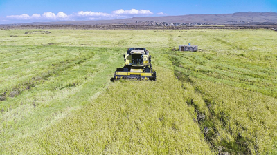 Çiftçi Kayıt Sistemi kaldırılıyor