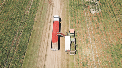 Mevcut tehditler gıda sistemini yeniden şekillendirebilir