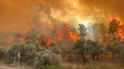Milas'ta yangına müdahale ediliyor