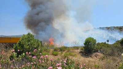 Milas-Bodrum Havalimanı yolunda yangın