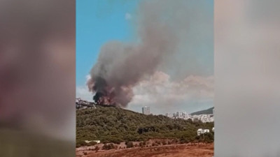 İstanbul'da orman yangını