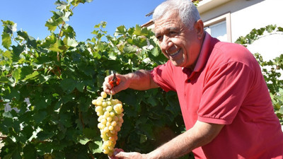 Devlet desteğiyle kurdu talebe yetişemiyor