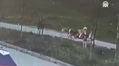 Bursa'da dehşete düşüren anlar: Oğlu için kendini feda etti