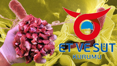 Et ve Süt Kurumu açıkladı: Salmonella tespit edilen ürünlerin imhasına karar verildi