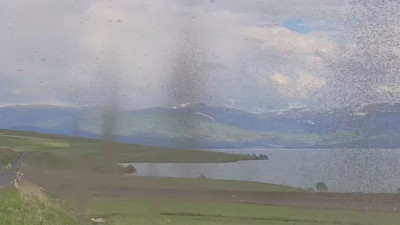 Adeta kasırga gibiler! Çıldır Gölü'nü işgal eden milyonlarca 'göl sineği' kamerada