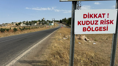 Şanlıurfa'da iki köpekte kuduz çıktı; iki mahalle karantinada