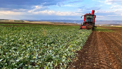 Resmi Gazete'de yayımlandı: &Ccedil;ift&ccedil;ilere bu yıl &ouml;denecek &uuml;retim destekleri belli oldu