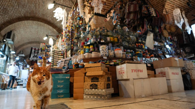 Garfield Tarçın tarihi hanın gözbebeği oldu! Şehir dışından ziyarete geliyorlar