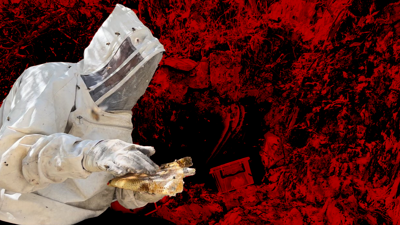 Cilo Dağı'nda 12 yıl önce keşfetti, kilogramını 3 bin TL'den satıyor