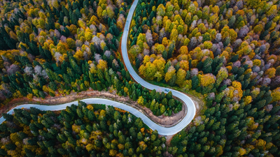Sonbaharda ziyaretçi akınına uğrayan Yedigöller'de zorunlu rota değişimi