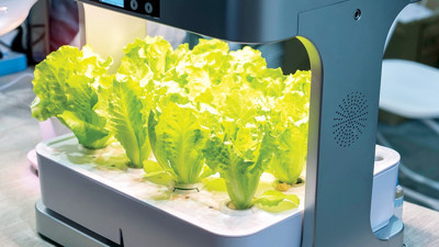 Topraksız tarımda düşük sermayeli yatırım fırsatı