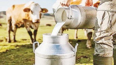 "Süt üretimi artıyor yönetilebilirlik şart"