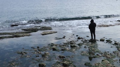 İstanbul ve Muğla'dan sonra Tekirdağ'da deniz çekildi! Uzman isim sebebini açıkladı