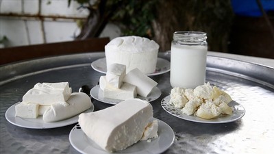 Süt sektöründen katma değerli ürün desteği talebi