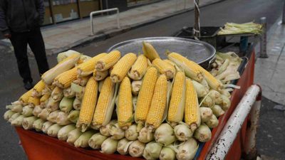 Erkenci süt mısırlar tezgaha çıktı! Tanesi 50-60 liradan satılıyor