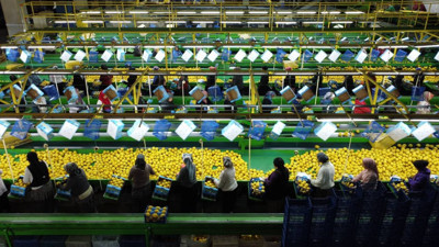 Limonda stokçuların oyunu ortaya çıktı