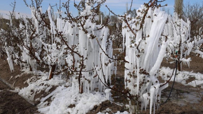 Zararın boyutu büyük: Ürün az, fiyatlar yüksek olabilir!