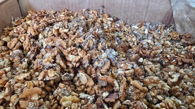 Yüzlerce şubesi olan baklava üreticisinde tonlarca kurtlanmış ceviz bulundu