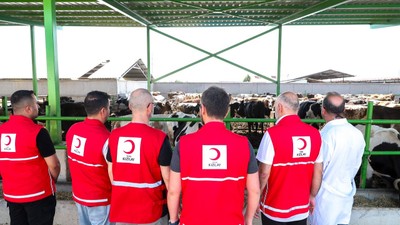 Kızılay'ın vekalet kurban bedelleri belli oldu