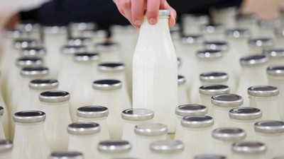 Rekabet Kurulu’ndan süt sektörüne soruşturma! 41 firma mercek altında