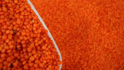 Kırmızı mercimek ve tereyağına kotalı ihracat izni çıktı