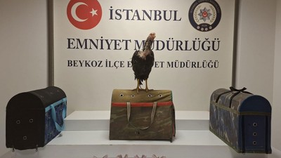 Metruk binaya 'horoz' operasyonu: 94 bin 187 lira ceza uygulandı