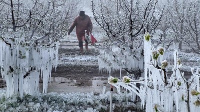 Zirai Don Araştırma Komisyonu ilk toplantısını yapacak