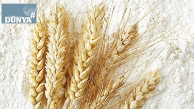Bu yıl buğday fiyatı ne olacak?