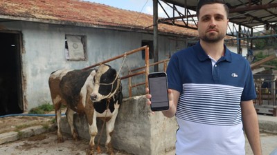 Kurbanlık satışında akılalmaz dolandırıcılık: Ava giderken avlandık