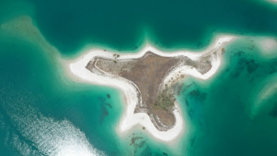 Martıların favori mekânı: Adıyaman'ın 'Martı Adası'